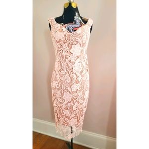 EUC Asos Lace Embroidered Sleeveless Semi Formal Dres